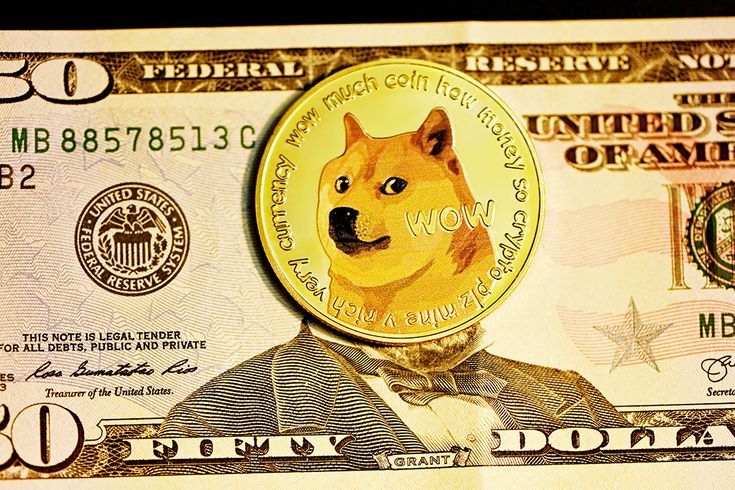 Doge Treasury Coin